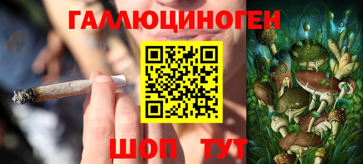 Псилоцибиновые грибы мицелий  Вход с VPN  хочу наркоту  Белгород 